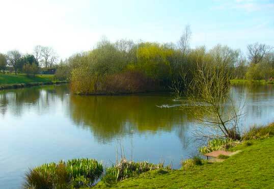 Lake treated with Cutrine Plus granular